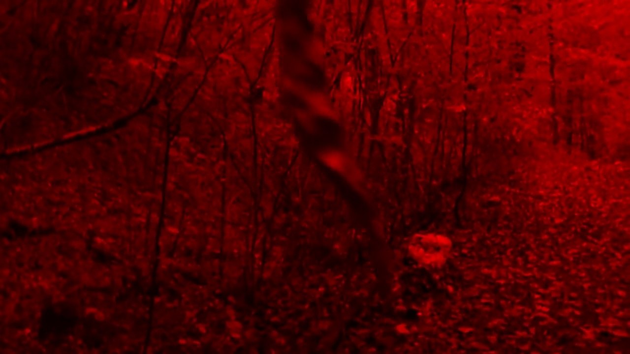 TEASER CLIP LIVE "LES MOTS QUI ME TOUCHENT"