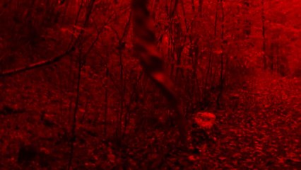 TEASER CLIP LIVE "LES MOTS QUI ME TOUCHENT"