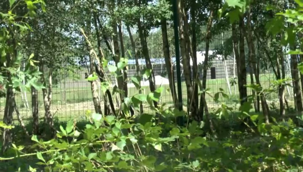 LES PROMENADES DE MICHOU W-D.D. - 20 JUIN 2014 - A 15 H 45 CE VENDREDI UN TOUR AUTOUR DU GOLF D'IDRON...