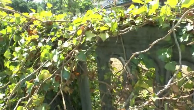 LES W-D.D. MICHOU FRIDAY NEWS - 20 JUIN 2014 - SUPERBE RENOVATION DE LA RAMBARDE DE L'AVENUE NITOT.