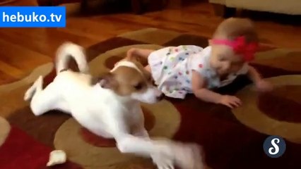 köpekten bebeğe emekleme dersi.. harika ya :)