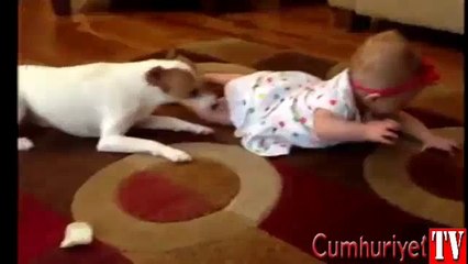 Sevimli köpekten bebeğe emekleme eğitimi