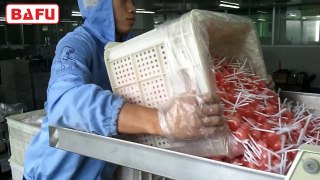 lollipop packing machine, lollipop packaging machine, lollipop wrapping machine