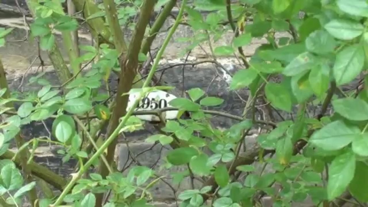 St Michael Hildesheim