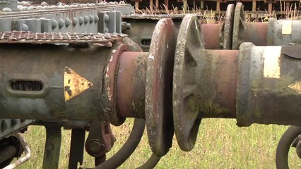 Un diplodocus sauvé de l’oubli