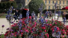 Eileen Sylvia - Paris Vacation Travel Guide