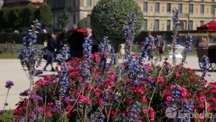 Eileen Sylvia - Paris Vacation Travel Guide