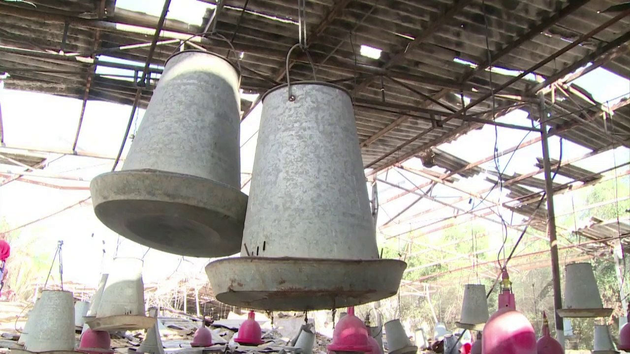 Gaza: raids israéliens après des tirs de roquettes