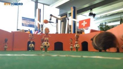 Sikko voorspelt: Winst voor Zwitserland - RTV Noord