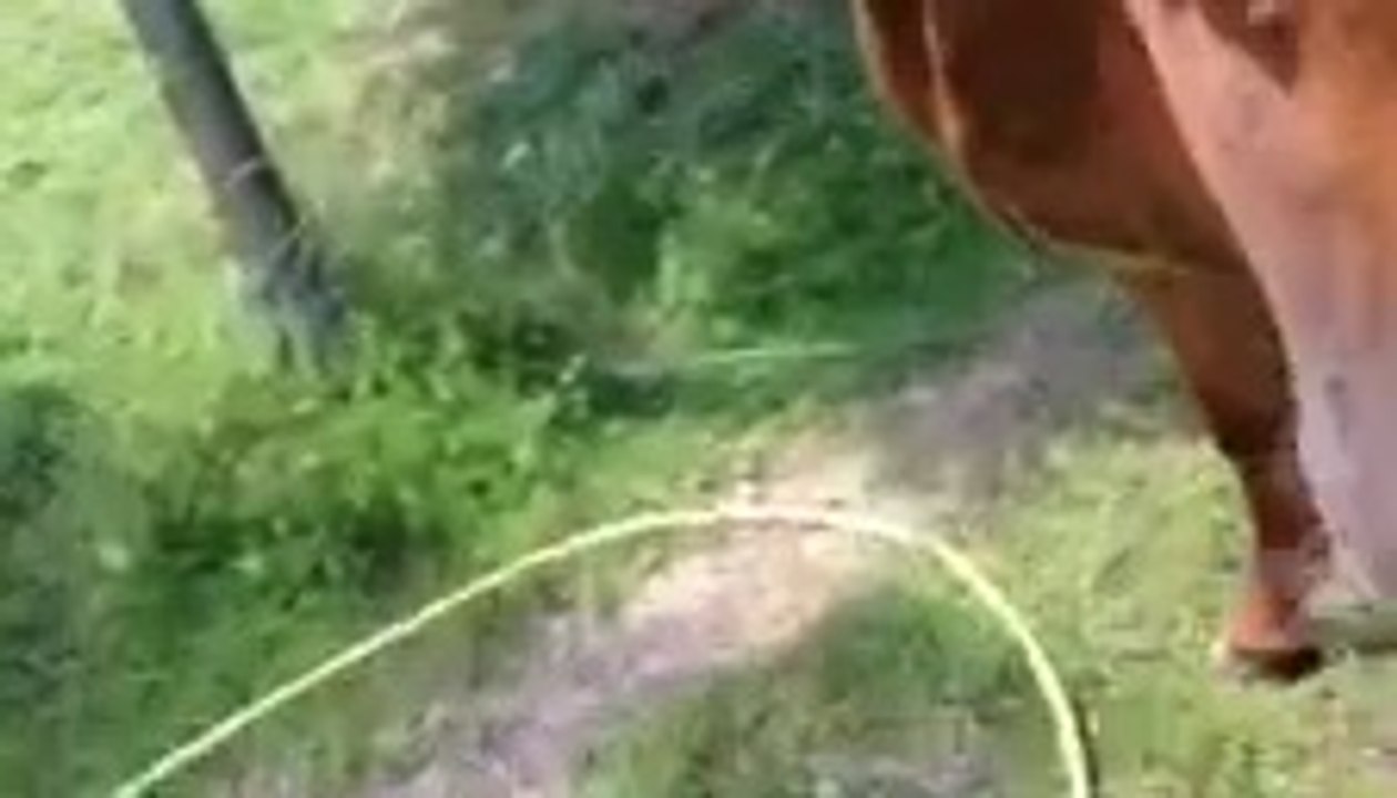 Bibi Douche_25juin14