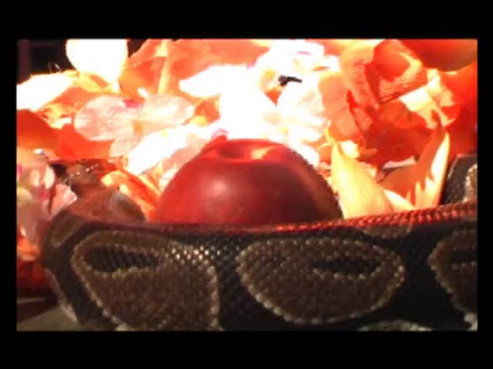 SARKASM - Decadence Danse - guest GINGER (RIP)