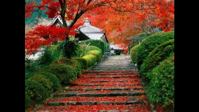 Doğanay & sen benden gittin gideli