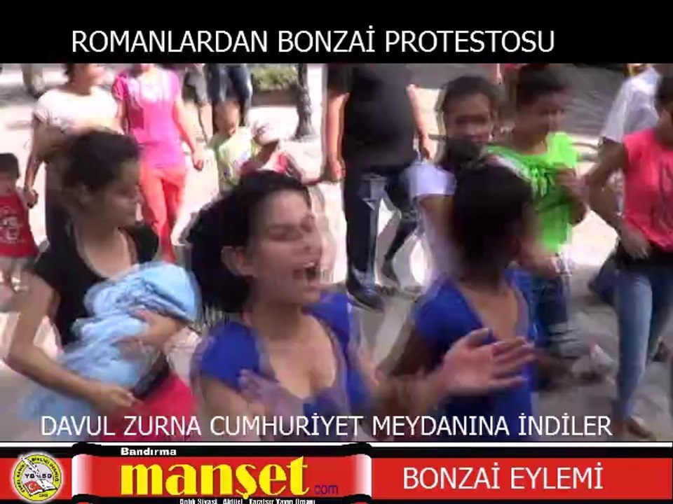 Bonzai'ye Hayır