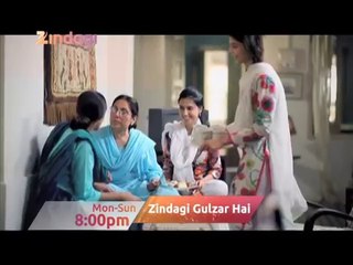 Zindagi Gulzar Hai Promo
