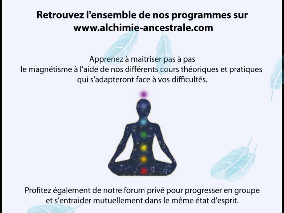 Les chakras