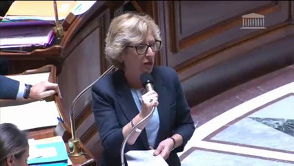 Réponse de Geneviève Fioraso à Jean-Philippe Nilor