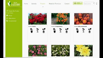 Vivai Piante da giardino