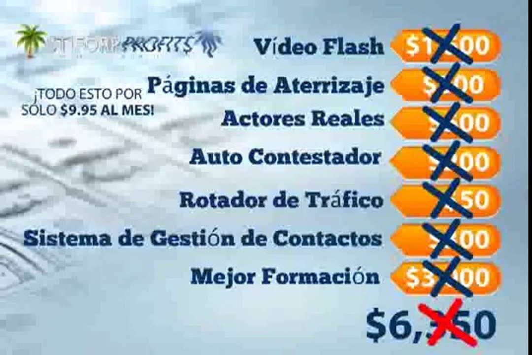 Stiforp  TEAM Spanish