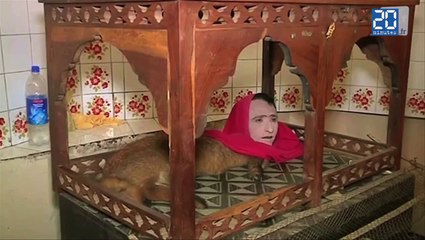 La femme-renard du zoo de Karachi