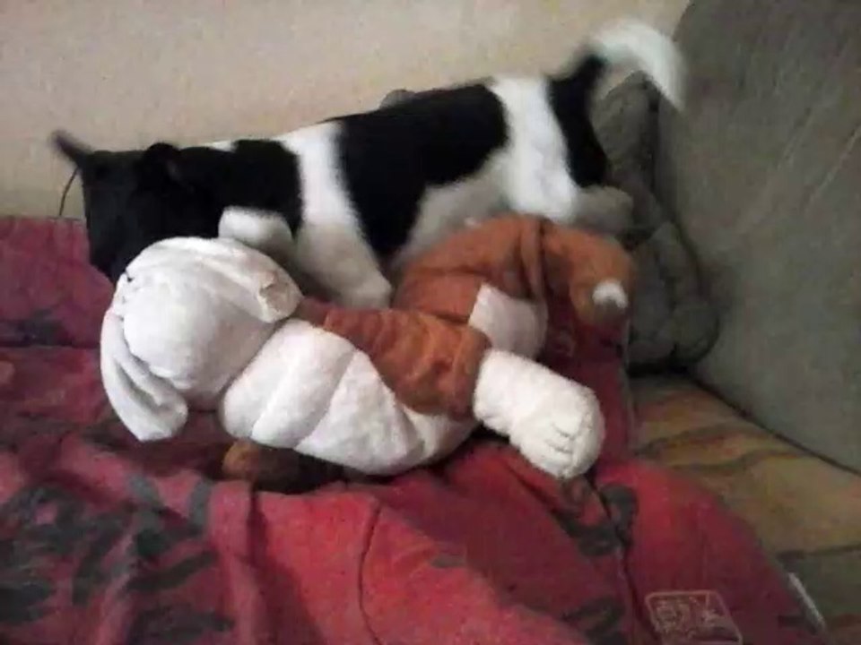 tchi-tchi ou la mort 003