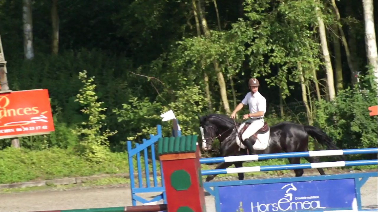 Ambre d'Elincourt au CSO SHF 4 ans de Verquigneul le 24 6 2014