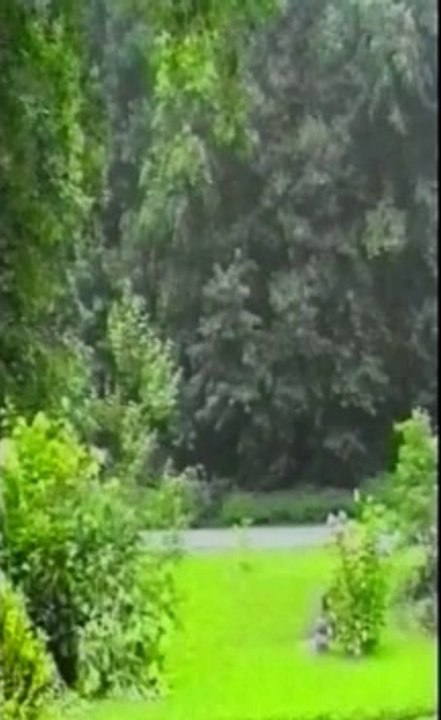 UFO Dossier X - 13 - Il caso Adamski