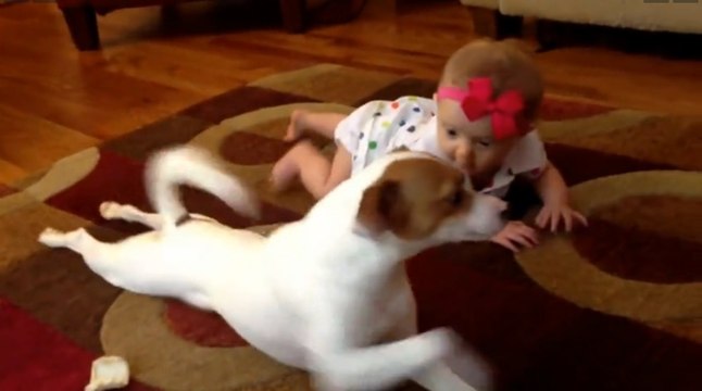 Dog Teaches Baby How To Crawl