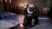The Pugs Of Westeros: Three Pugs Re-enact Game Of Thrones Parody