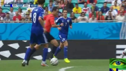 هدف البوسنة في إيران