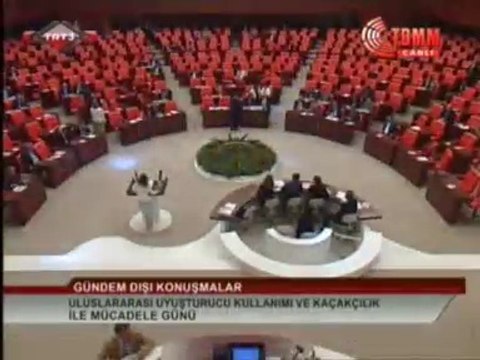 Zeynep Karahan Uslu, 25 Haziran 2014, TBMM Genel Kurulu, Uyuşturucu ile Mücadele Günü