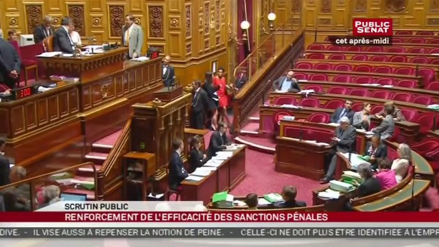 Suite du projet de loi tendant à renforcer l'efficacité des sanctions pénales - En séance