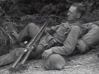 Big Picture  Pictorial Report