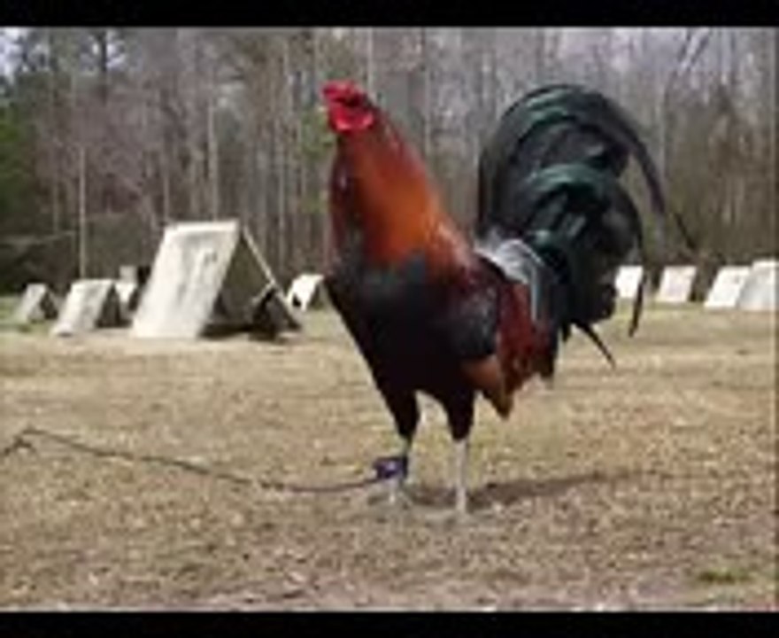 funny audio