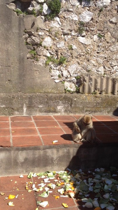 Gibraltar
