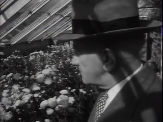 Big Picture  Pictorial Report Number 11