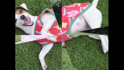 Skyfall - Adele Cover