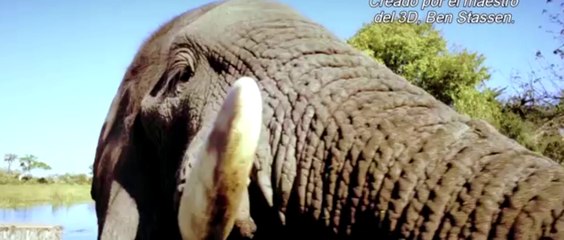 Estrenos de la semana