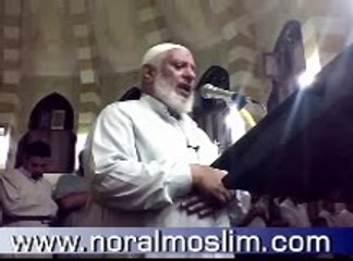 سورة الممتحنة الشيخ محمد السروى