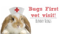 Bugs First Vet Visit | Bunny Vlogs