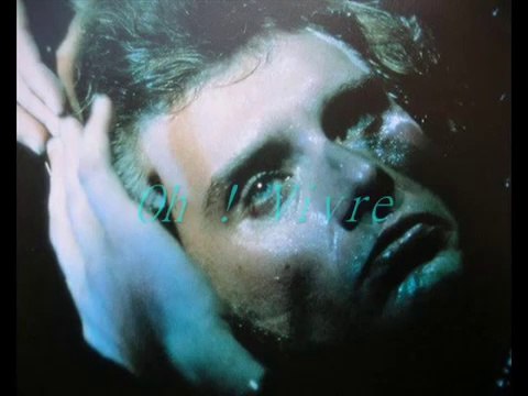 JOHNNY HALLYDAY - VIVRE (Lyrics / Paroles)