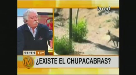 2013-07-09_Salfate - ¿Nuevo Ataque Del “Chupacabras”_1