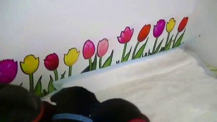 17ème vidéo - Chiot n°1 de la 15ème portée de Staffordland