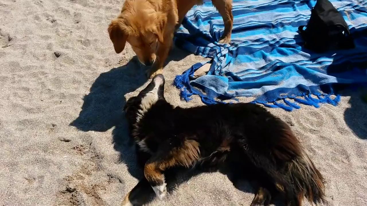 Vama Veche Mai 2014