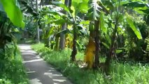Cycling BenTre - Mekong Delta