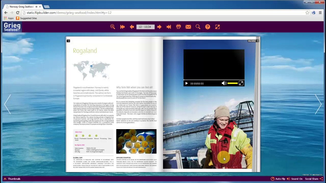 FlipBuilder- publish Drupal flipbook plug-in easily