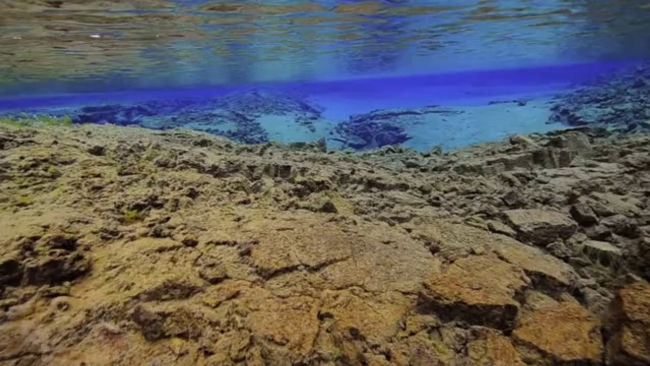 Swim between two tectonic plates