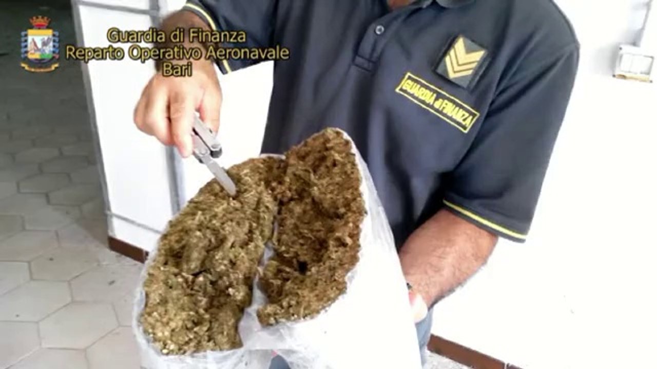 Guardia di Finanza: sequestro marijuana