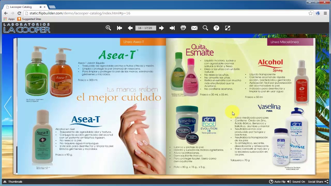FlipBuilder-page fliping PDF catalog solution for E-commerce and marketing