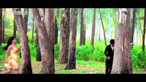 Rasha Rasha Pashto Song By Singer Diljeet Sing (Dramascity.com)