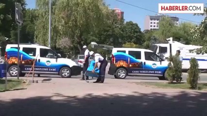 Camiler 12 Ay Gül Kokacak